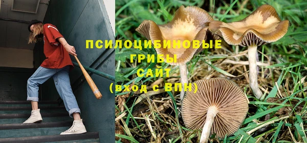 каннабис Карталы