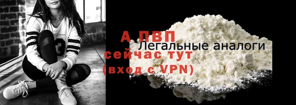 трава Карпинск