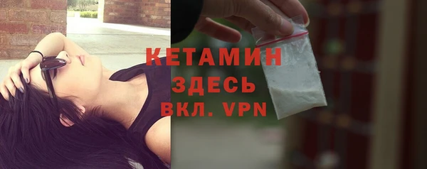трава Карпинск