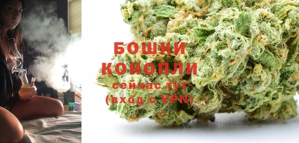 трава Карпинск