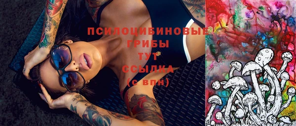 ГАЛЛЮЦИНОГЕННЫЕ ГРИБЫ Касимов