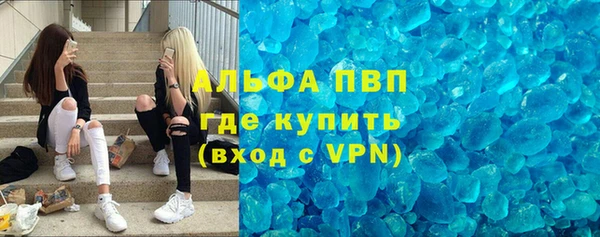 трава Карпинск