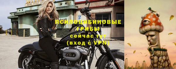 ГАЛЛЮЦИНОГЕННЫЕ ГРИБЫ Касимов