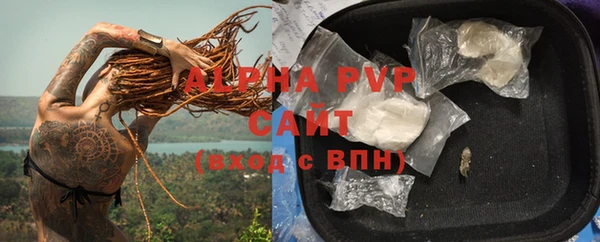 ГАЛЛЮЦИНОГЕННЫЕ ГРИБЫ Касимов