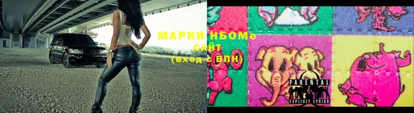 трава Карпинск
