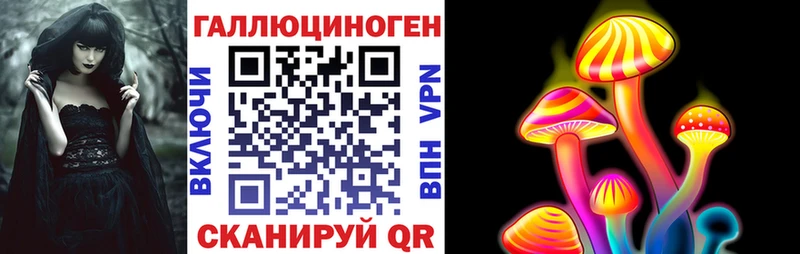 Купить  Гусь-Хрустальный  Псилоцибиновые грибы Cubensis 